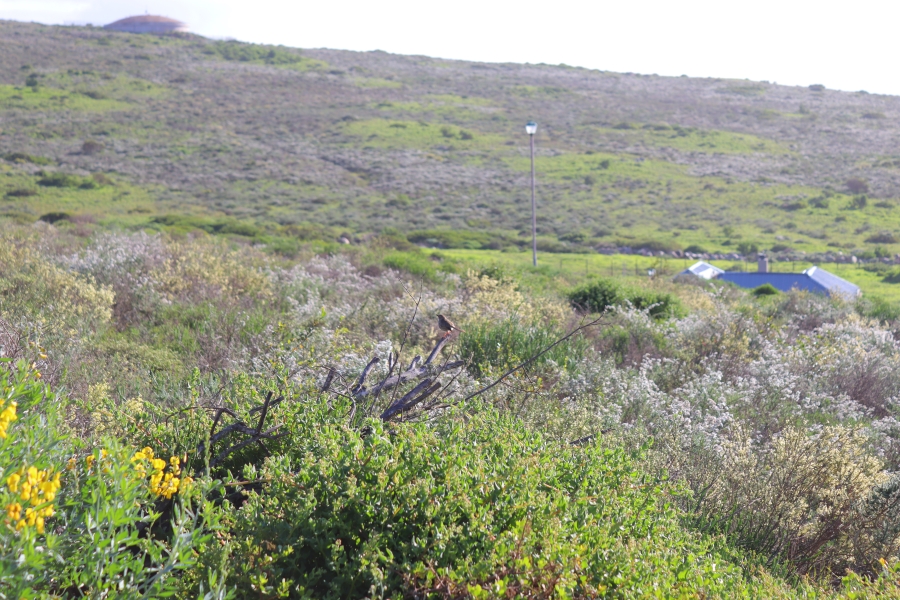 0 Bedroom Property for Sale in St Helena Views Western Cape